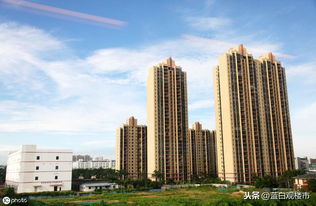 住宅開發占比創五年新高，房地產市場結構失衡引關注